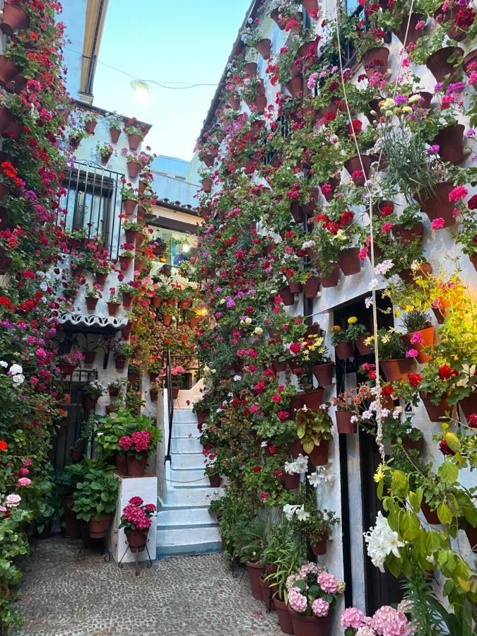 Atico Casa Lola Daire Cordoba Dış mekan fotoğraf