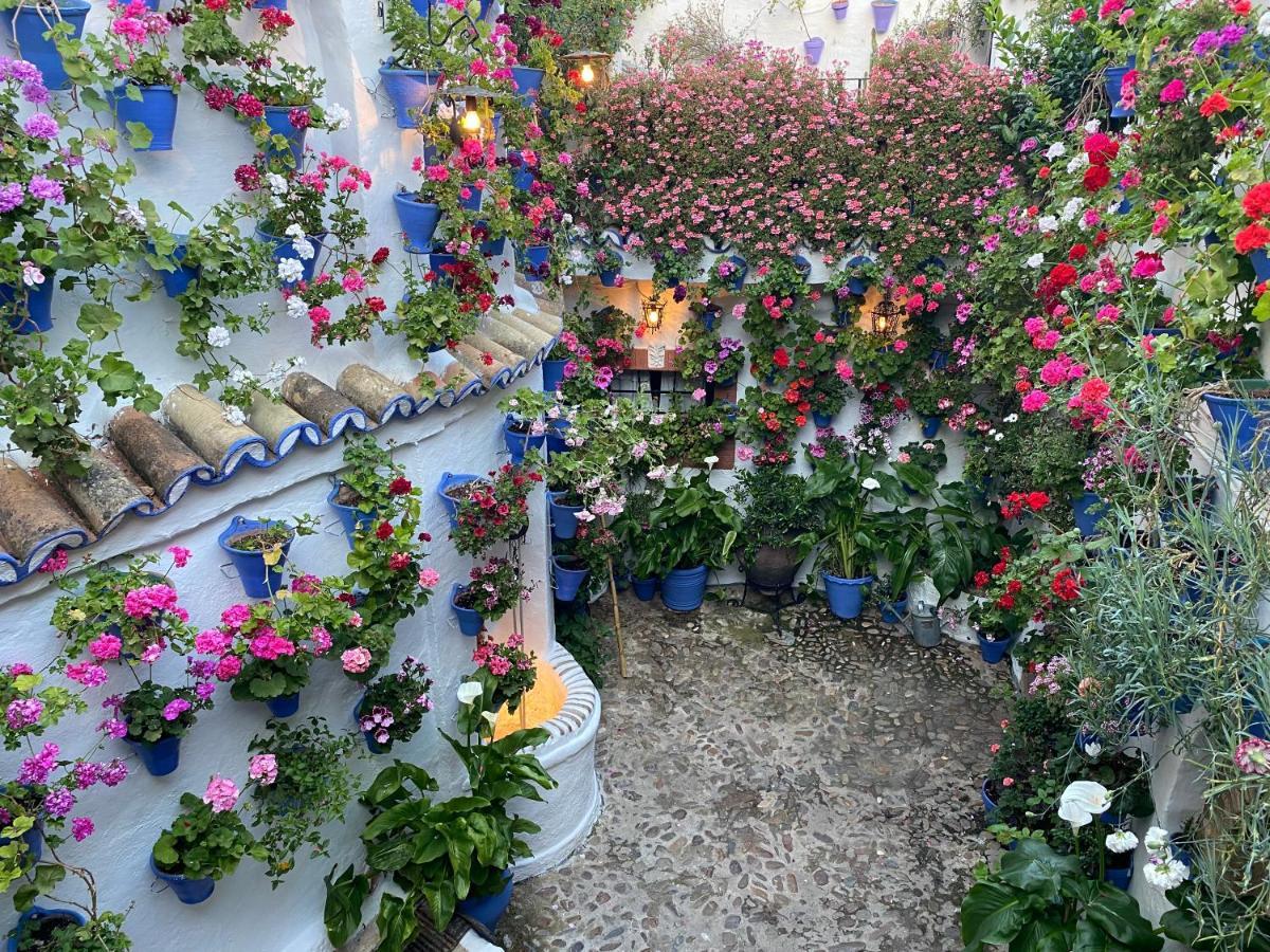 Atico Casa Lola Daire Cordoba Dış mekan fotoğraf