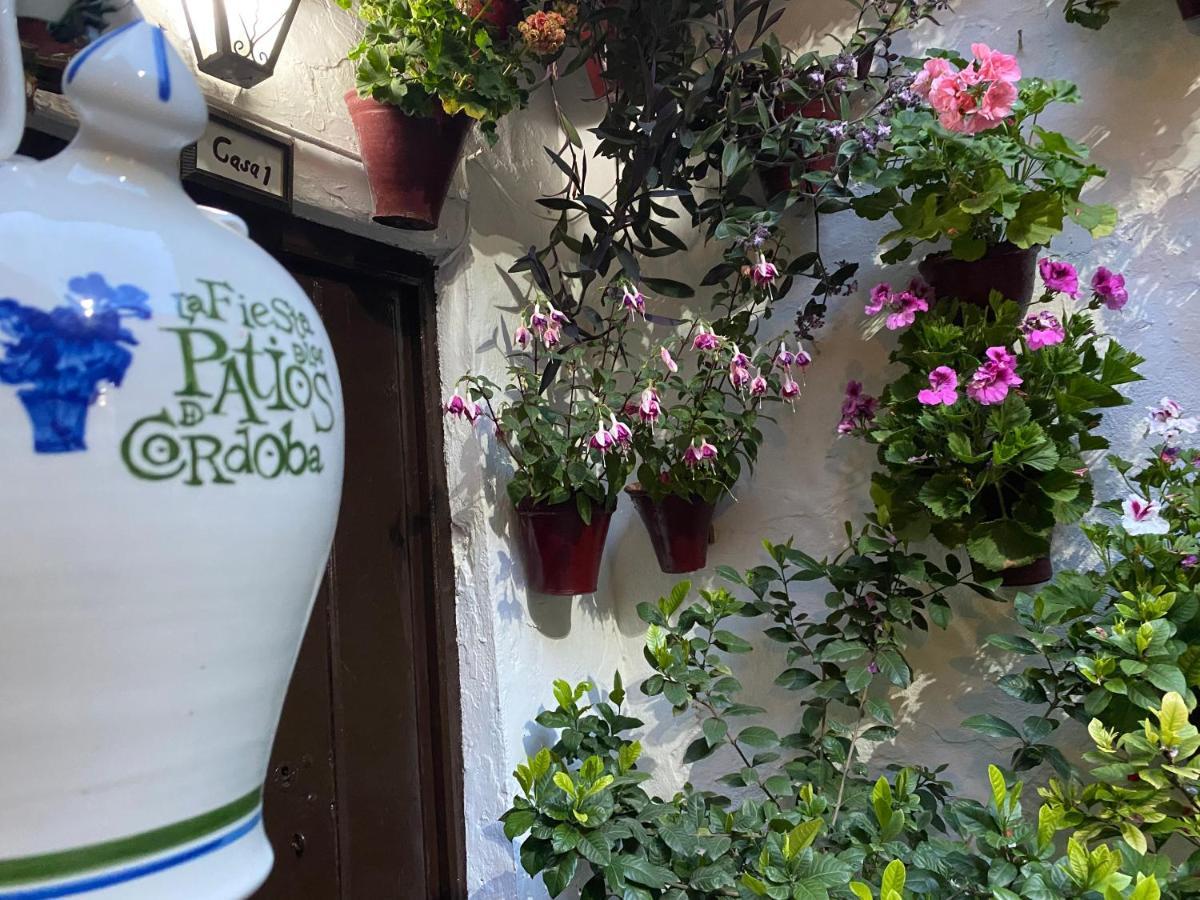 Atico Casa Lola Daire Cordoba Dış mekan fotoğraf
